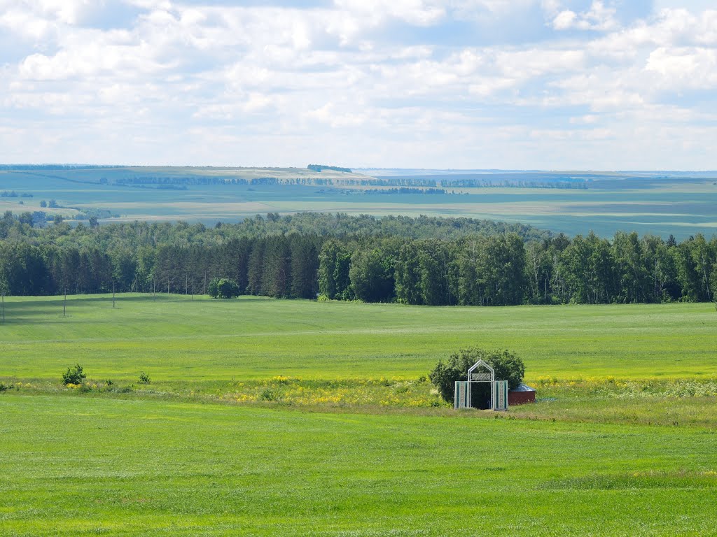 Лениногорский район — Татцентр.ру