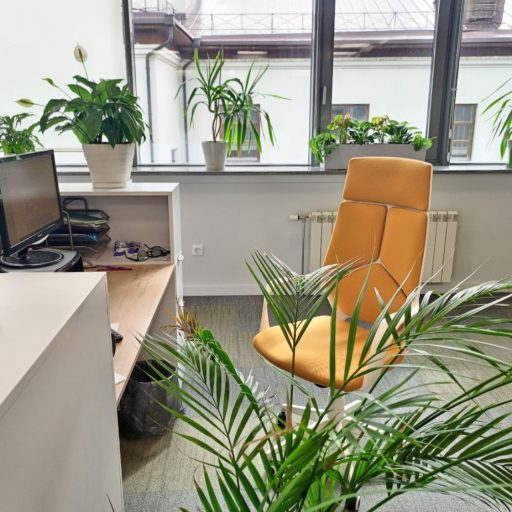 Опрос: 47% жителей&nbsp;РТ готовы работать на&nbsp;нелюбимой работе ради дохода