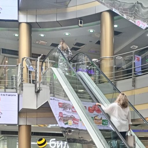 Гибрид победил: почему рынки и&nbsp;ТЦ больше не&nbsp;конкуренты