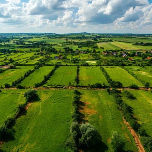 В РТ зарегистрировали 8 тыс. договоров купли-продажи земельных участков