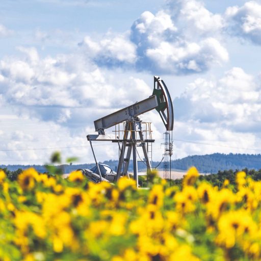 &laquo;Татнефть&raquo; получила одобрение на&nbsp;размещение СО2 в&nbsp;подземных хранилищах