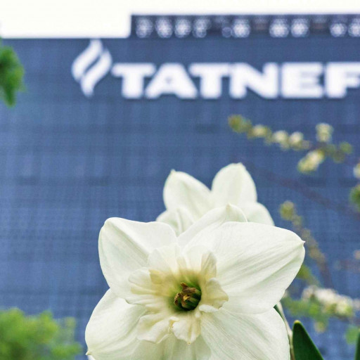 &laquo;Татнефть&raquo; пополнила портфель новым климатическим проектом